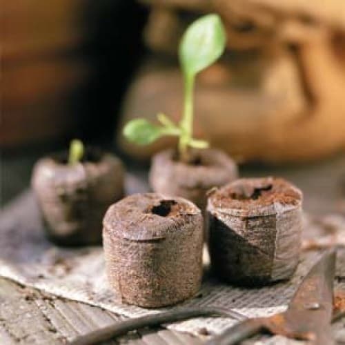 Asia Coconut Coir Pellets_ Peat Plant Pot Jiffy_ Coir Pith